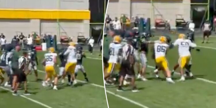 Seahawks, Packers throw punches in wild joint practice melee