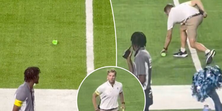 Sex toy thrown on field during Vikings-Titans game after WNBA fan arrests