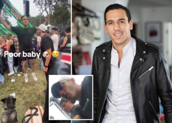 Tech CEO blasted as 'dog abuser' after friend brings husky into loud festival