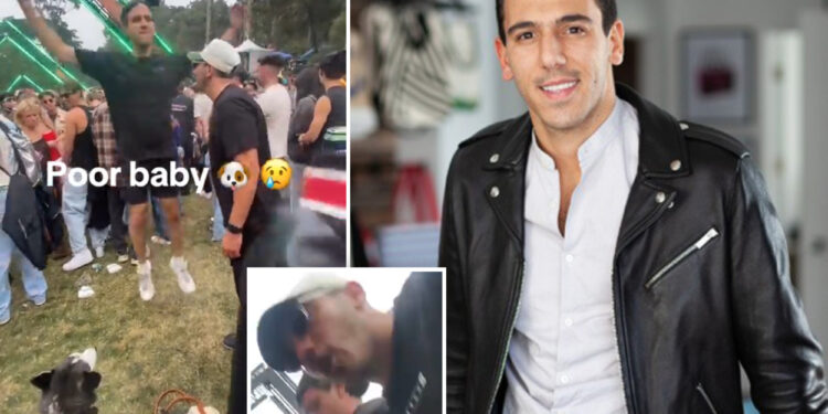 Tech CEO blasted as 'dog abuser' after friend brings husky into loud festival