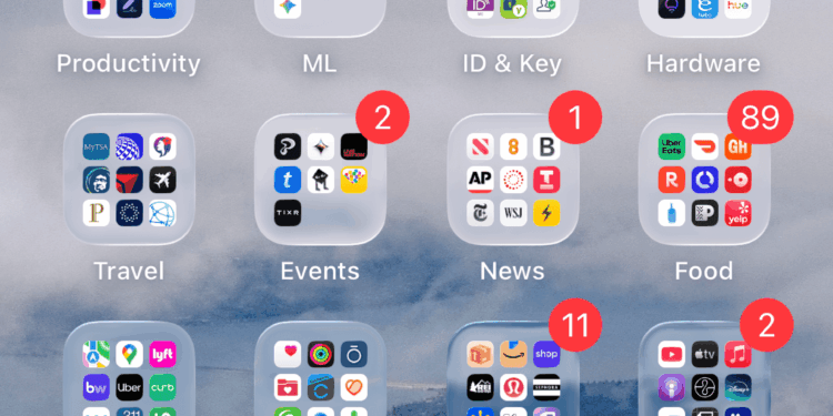 A screenshot of Jane Manchun Wong’s homescreen.