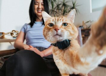 The new Fi Mini pet tracker has GPS, and it’s barely bigger than an AirTag