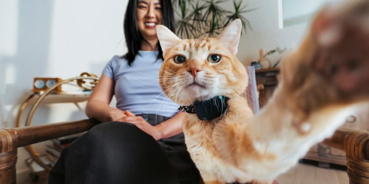 The new Fi Mini pet tracker has GPS, and it’s barely bigger than an AirTag