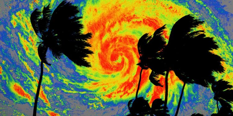 Trump administration suspends FEMA employees who warned about disaster response