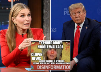 Trump torches Nicolle Wallace as 'loser' with 'poor ratings,' predicts firing