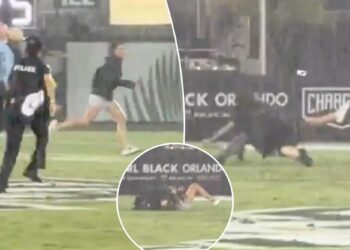 UCF fan destroyed by security after running on field during lightning delay