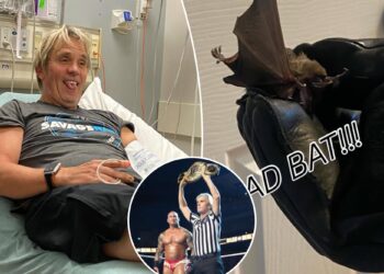 WWE referee Charles Robinson hospitalized after being bitten by a bat