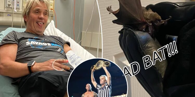 WWE referee Charles Robinson hospitalized after being bitten by a bat