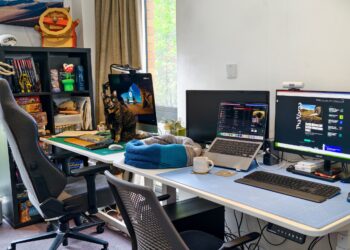 Two desks side by side with a cat sitting on one.