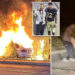 Army football player Larry Pickett Jr. saves driver from burning car in Upstate New York crash