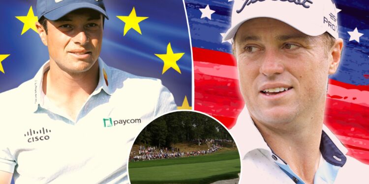 Breaking down all 24 competitors