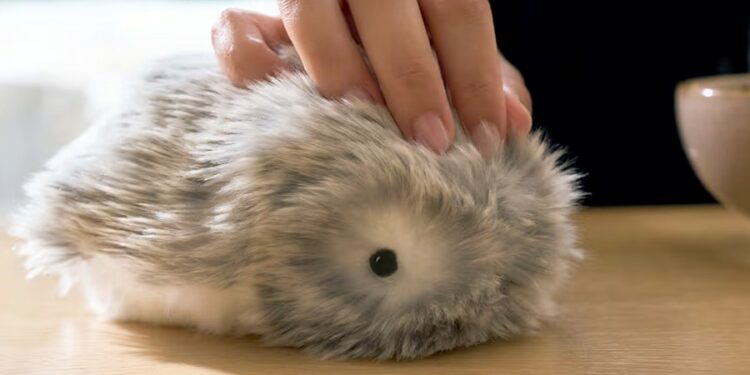 Casio’s stress-relieving furry robot is coming to the US