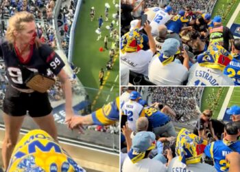 Female fan bloodied in disturbing fight at Texans-Rams game