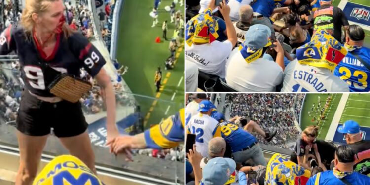 Female fan bloodied in disturbing fight at Texans-Rams game
