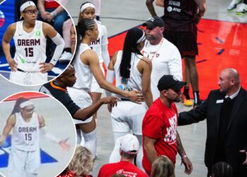 Fever fans tossed after exchange with Dream's Allisha Gray