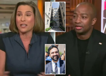 MSNBC panelists brawl over Zohran Mamdani's rent-stabilized apartment
