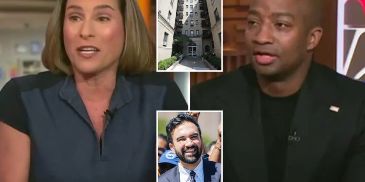 MSNBC panelists brawl over Zohran Mamdani's rent-stabilized apartment