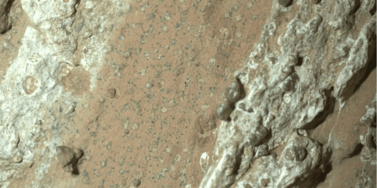 <em>NASA’s Perseverance rover discovered leopard spots on a reddish rock nicknamed “Cheyava Falls” in Mars’ Jezero crater in July 2024. </em>