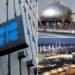 OPEC+ agrees to further boost oil output to regain market share