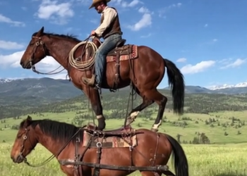 OpenAI’s new social video app will let you deepfake your friends