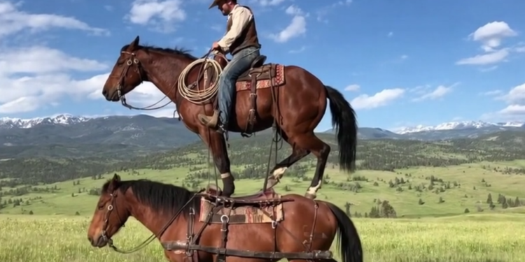 OpenAI’s new social video app will let you deepfake your friends