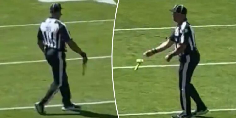 Sex toy thrown onto field during Browns-Bengals season opener