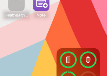 An iPhone homescreen.