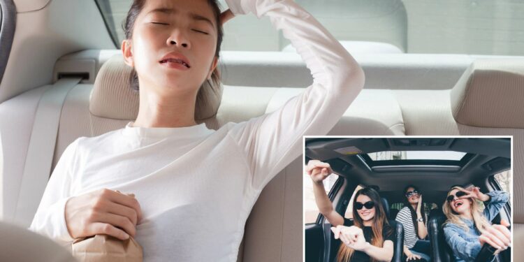 These music genres can reduce motion sickness