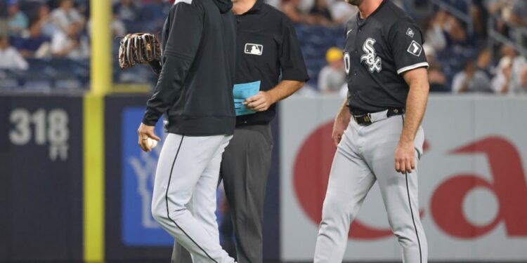 An umpire checks Tyler Gilbert's glove during the fifth inning of the Yankees' 5-3 win over the White Sox on Sept. 25, 2025.