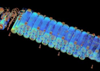 X-ray scans reveal the hidden risks of cheap batteries