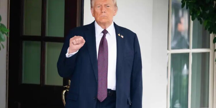 President Donald Trump stands with a clenched fist outside the White House.