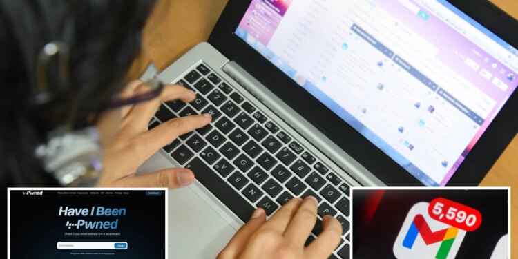 183M email passwords exposed in data leak -- including millions of Gmail accounts -- here's how to check if yours is safe