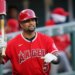 Albert Pujols gaining momentum in Angels manager search