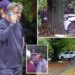 Alec Baldwin crashes Range Rover into tree in the Hamptons