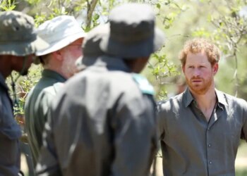 Chad has revoked the mandate of a nonprofit conservation group tied to Prince Harry to manage its wildlife reserves, accusing the charity of not doing enough to curb poaching.