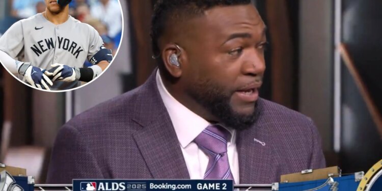 David Ortiz hilariously basks in Yankees' misery after blowout loss