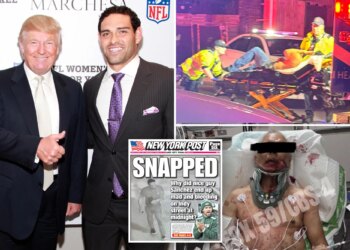 Donald Trump weighs in on Mark Sanchez stabbing, arrest