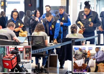 DoorDash launches emergency meal drive as SNAP food stamp crisis deepens