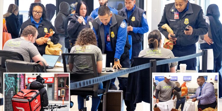 DoorDash launches emergency meal drive as SNAP food stamp crisis deepens