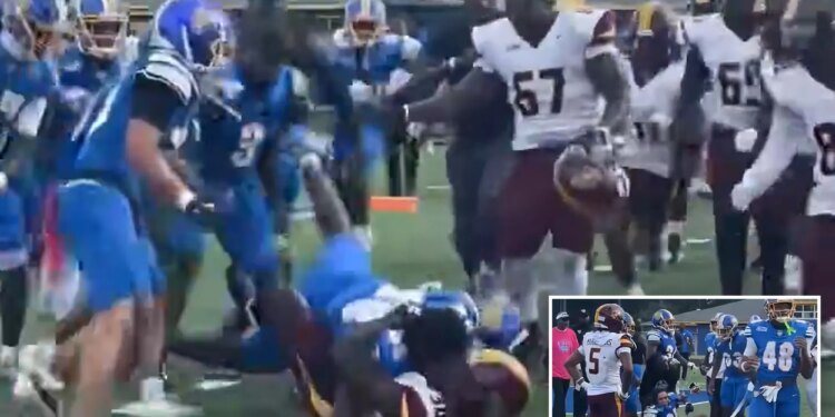 Fort Valley State University, Central State players and coaches suspended after viral homecoming brawl