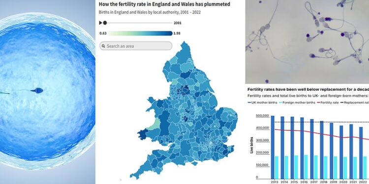 The age men's sperm starts to 'go bad': Scientists uncover when mutations surge - raising