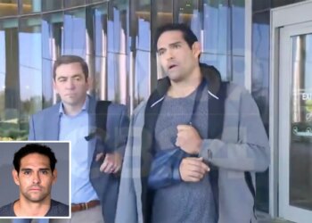 Mark Sanchez 'still recovering' from stabbing, lawyer reveals