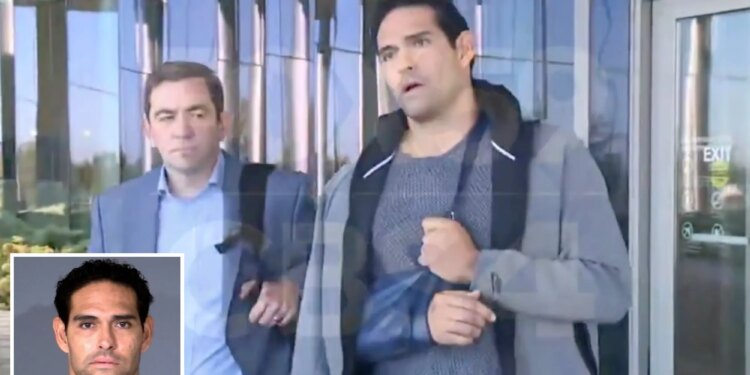 Mark Sanchez 'still recovering' from stabbing, lawyer reveals