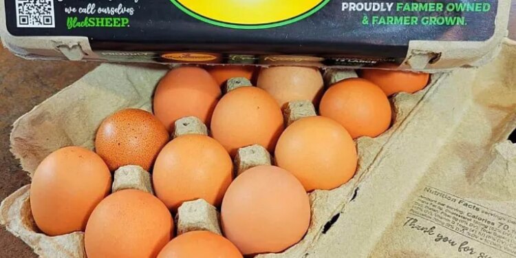 A carton of Black Sheep Egg Company's 12 large grade A free-range eggs.