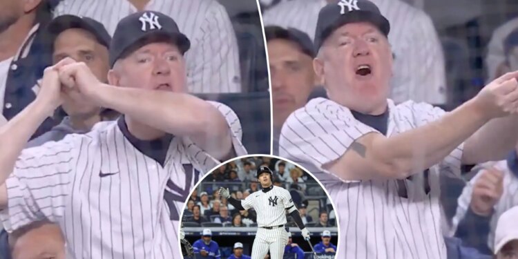 One Yankees fan becomes the face of frustration with Anthony Volpe