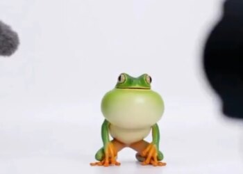 OpenAI adds reusable ‘characters’ and video stitching to Sora