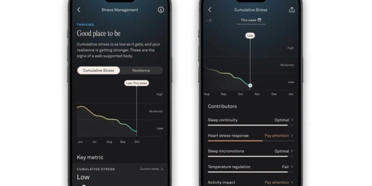 Oura redesigns app with expanded stress tracking