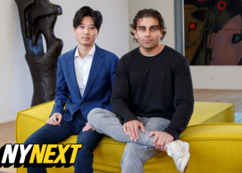 The Antifraud Company aims to be a private sector DOGE