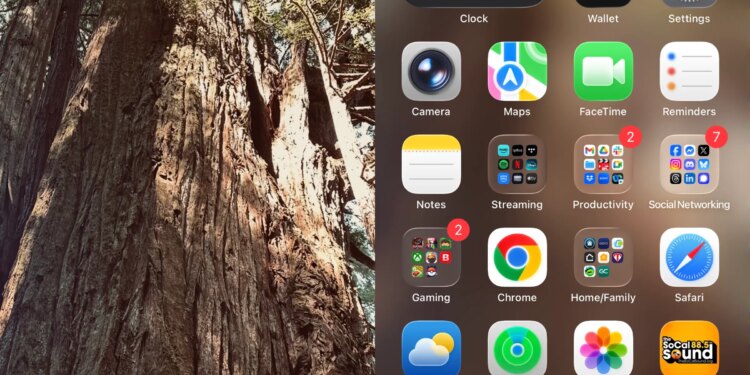 The Boox Palma just got a big update