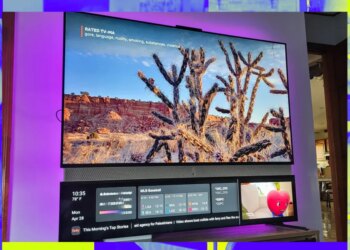 The real price of a free TV